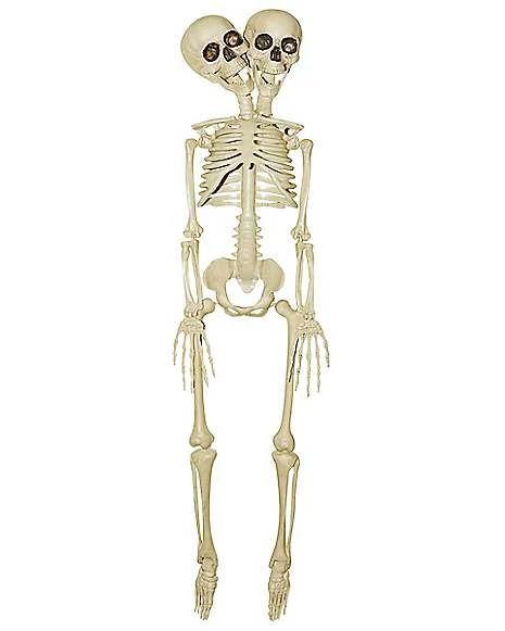 20 Inch Two-Headed Skeleton 1 20 Inch Two-Headed Skeleton