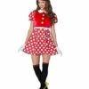 Adult Minnie Mouse Costume - Mickey And Friends